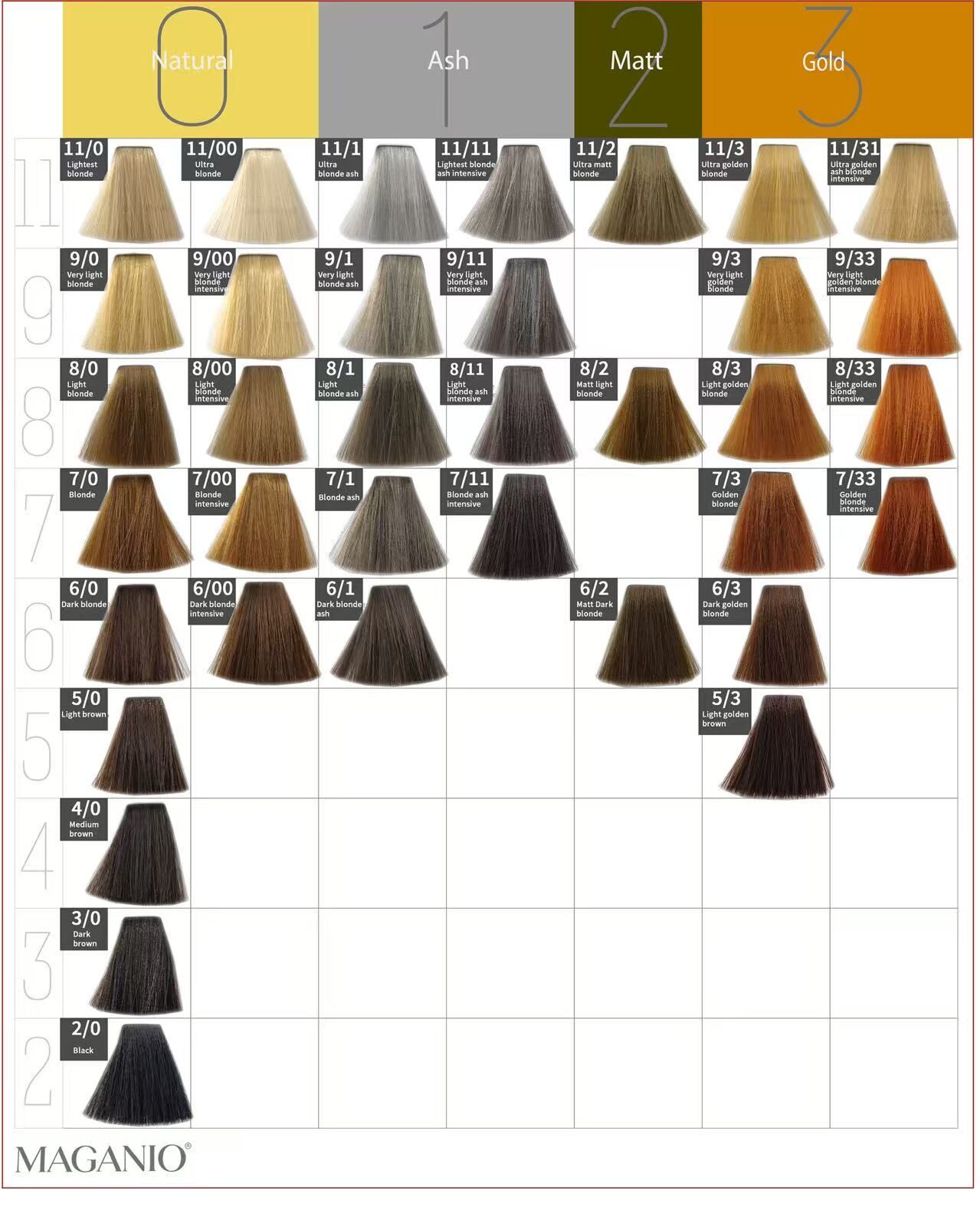 PLOG Hair Dye Shampoo for Men & Women - Image 4